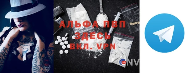 шишки Верхний Тагил