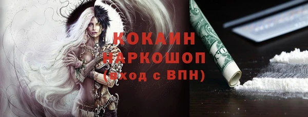 шишки Верхний Тагил