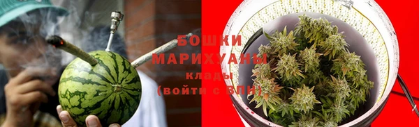 шишки Верхний Тагил