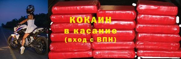 шишки Верхний Тагил