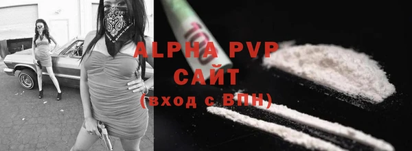 шишки Верхний Тагил