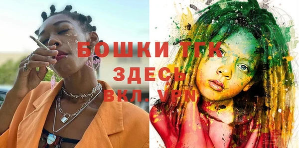 шишки Верхний Тагил