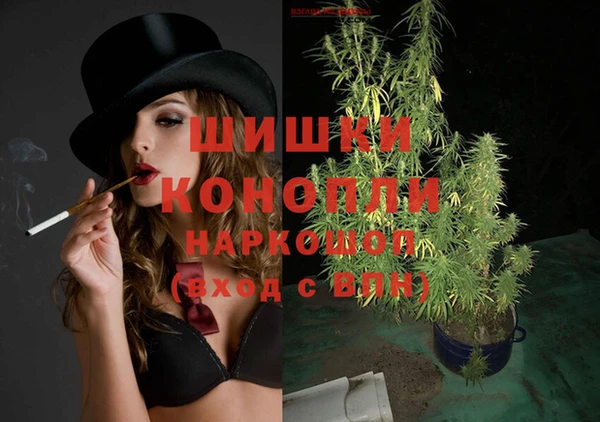 шишки Верхний Тагил