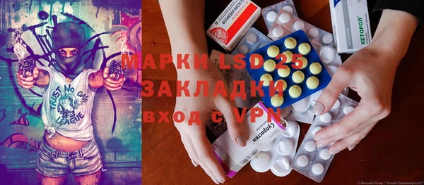 шишки Верхний Тагил