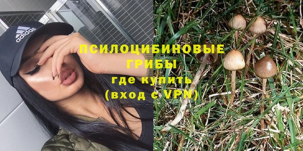 шишки Верхний Тагил