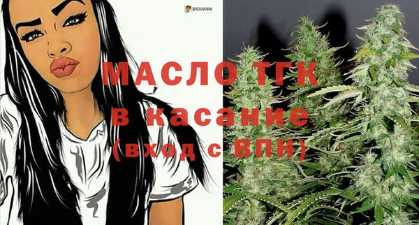 шишки Верхний Тагил