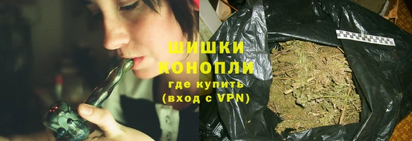 шишки Верхний Тагил