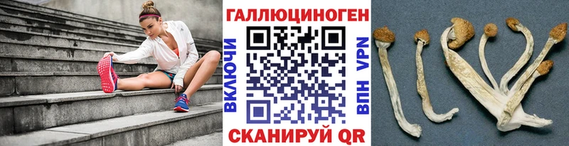 Псилоцибиновые грибы Magic Shrooms  кракен рабочий сайт  Кириши 